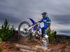 2020 Yamaha WR450F Gallery 3