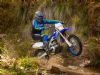 2020 Yamaha WR450F Gallery 6